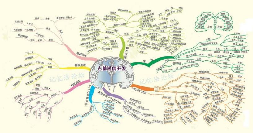 右腦潛能開發加盟