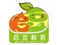 啟豆、金啟豆