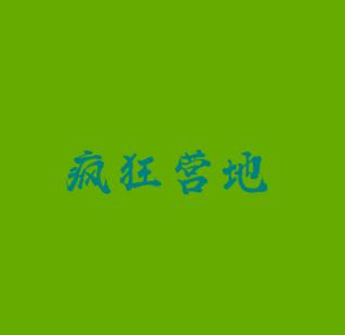 瘋狂營地夏令營
