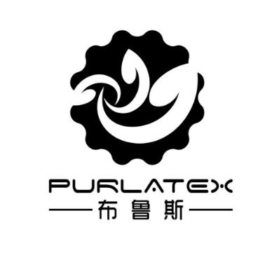 布魯斯琴行