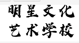 明星文化藝術(shù)學校