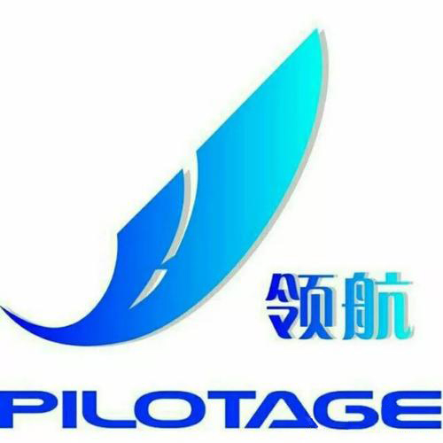 領航教育輔導中心