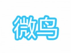 微鳥少兒英語