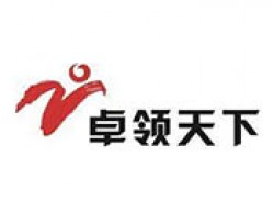 卓領(lǐng)天下