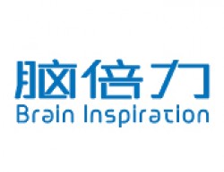 腦倍力全腦開發(fā)