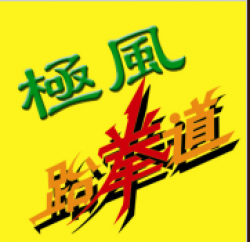 極風跆拳道