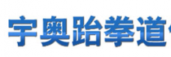 宇?yuàn)W跆拳道