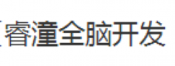 睿潼全腦開發