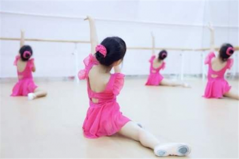 藝之飛揚