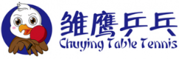 雛鷹乒乓球培訓(xùn)