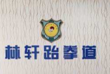 林軒跆拳道培訓中心