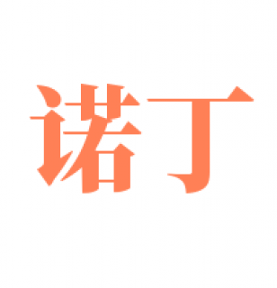 諾丁