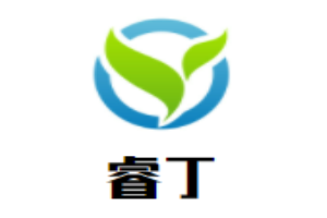 睿丁少兒編程