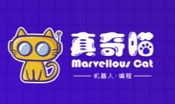 真奇喵機(jī)器人編程