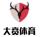 大賁體育籃球培訓