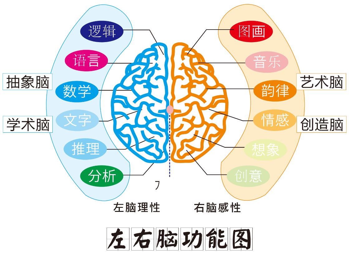 天使全腦加盟