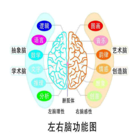 清大益師全腦教育
