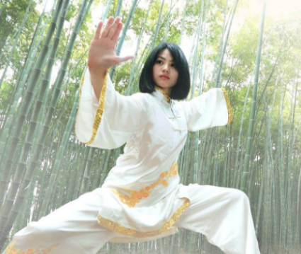 瀚鋒太極太極拳