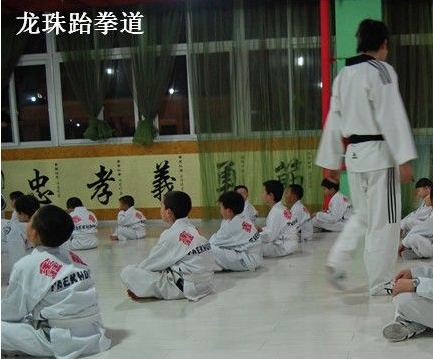 龍珠跆拳道