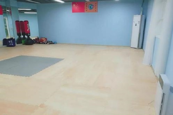 夢之星藝術加盟