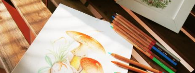 飛樂鳥藝術中心加盟