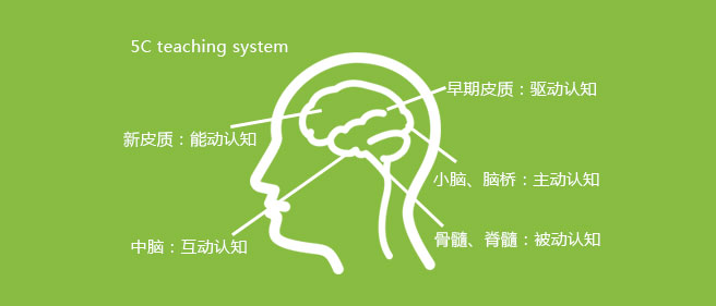 瑞德啟蒙教育加盟
