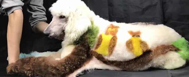 狗博士加盟