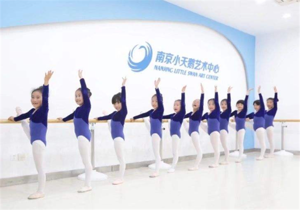小天鵝藝術培訓中心