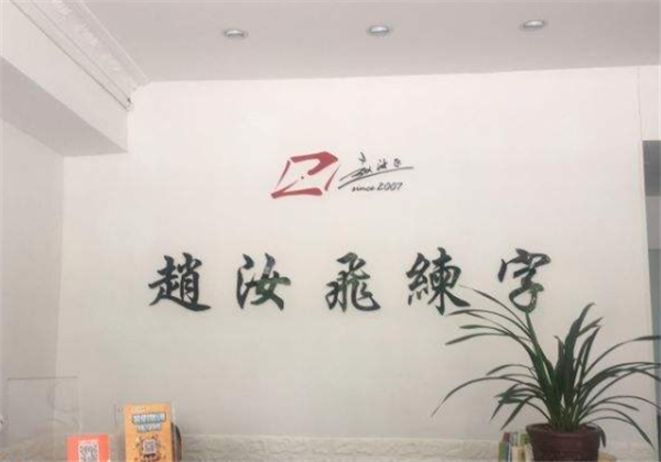 趙汝飛練字