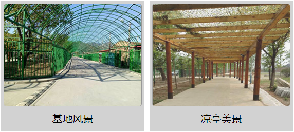青少年軍事將帥夏令營加盟