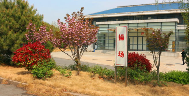 小硬漢訓(xùn)練營加盟