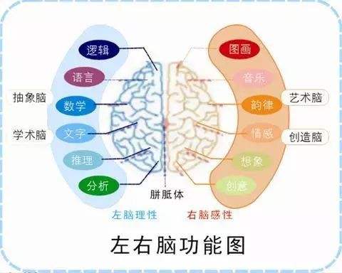 艾賓浩斯記憶法加盟