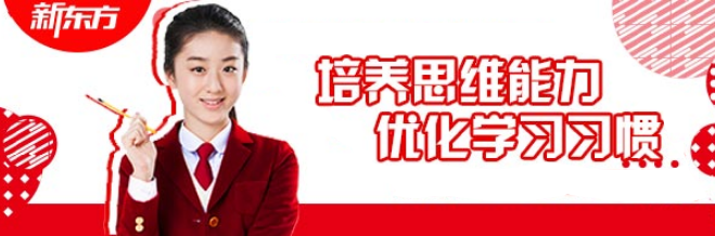 新東方小學(xué)數(shù)學(xué)加盟