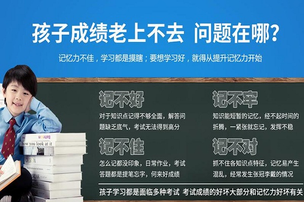 最強大腦儀加盟