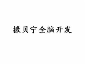 撒貝寧全腦開發(fā)