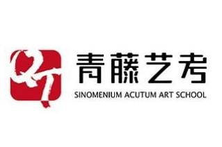 青藤藝考培訓中心