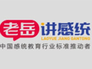 老岳講感統