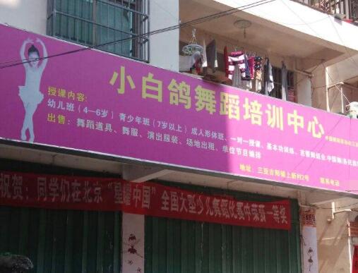 聊城小白鴿舞蹈學(xué)校加盟