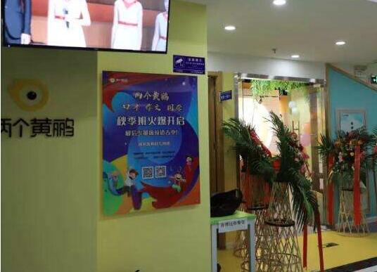 兩只黃鸝少兒口才培訓加盟
