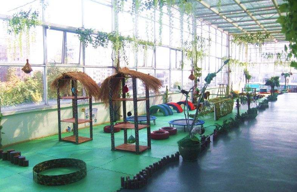 愛綠幼兒園加盟