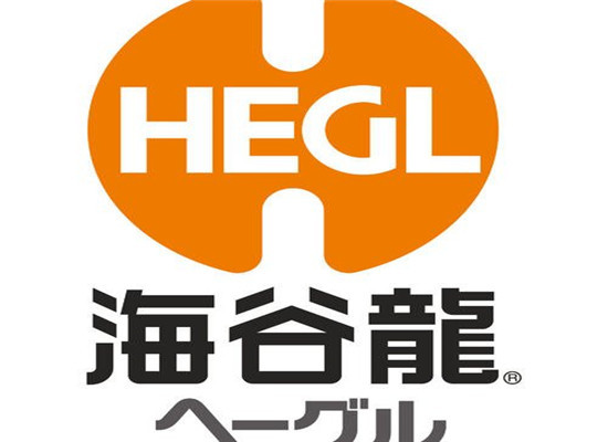 海谷龍國際早教